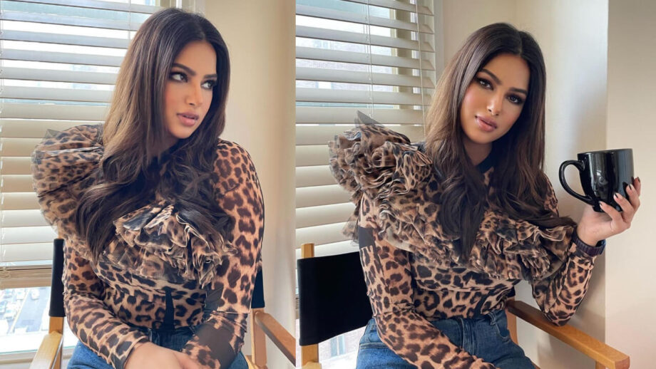 Harnaaz Kaur Sandhu Stuns Her Fans In Leopard Print Flared Top With Blue Jeans, Check Now! 771939