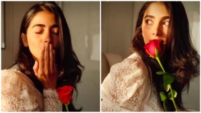 Have You Seen Pooja Hegde’s Video With Red Rose On Valentine’s Day? Watch!