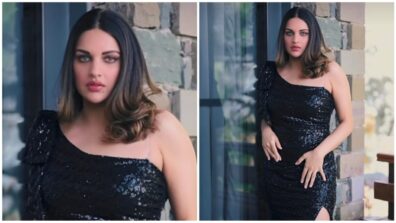 Himanshi Khurana Looks Dead-Drop Gorgeous In Black One-Shoulder Sequin Gown, See Pics