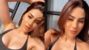 Hot Video: Nikki Tamboli’s ultimate black bralette sunkissed moment is irresistible