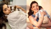 Janhvi Kapoor and Kajal Aggarwal extend cute hugs to special ones, check out