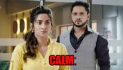 Kathaa Ankahee: Kathaa tries to calm an anxious Viaan