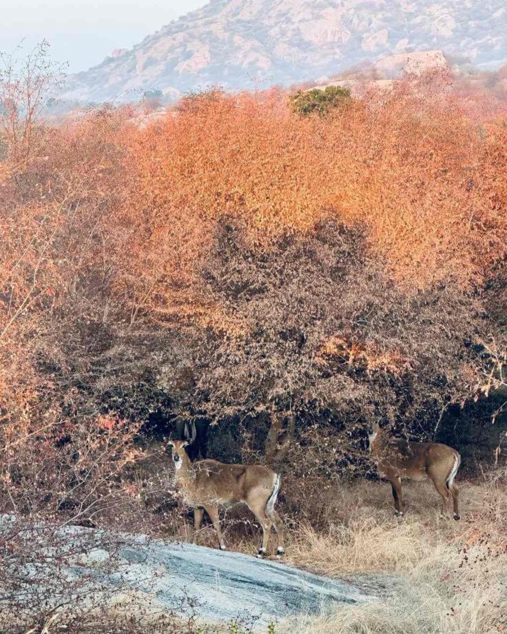 Learn To Embrace Nature's Beauty From Katrina Kaif On Vacation 765629