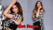 Malaika Arora Is Hot And Bold In This Tube Blouse and Feather Saree