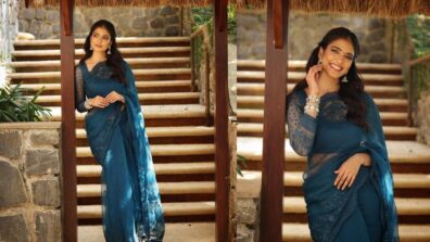 Malavika Mohanan Exudes Elegance In A Dark Blue Organza Floral Embroidered Saree, See Pics