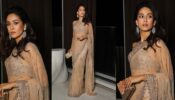 Mira Rajput Exudes Elegance In A Nude Netted Tulle Saree, Check Out Her Pics