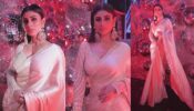 Mouni Roy makes a case for embellished white saree, see video