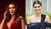 Oh Wow: Kriti Sanon Is A Die-Hard Lover Of Indian Food