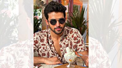 Parth Samthaan is ‘evergreen foodie vibes’, shares super cute post