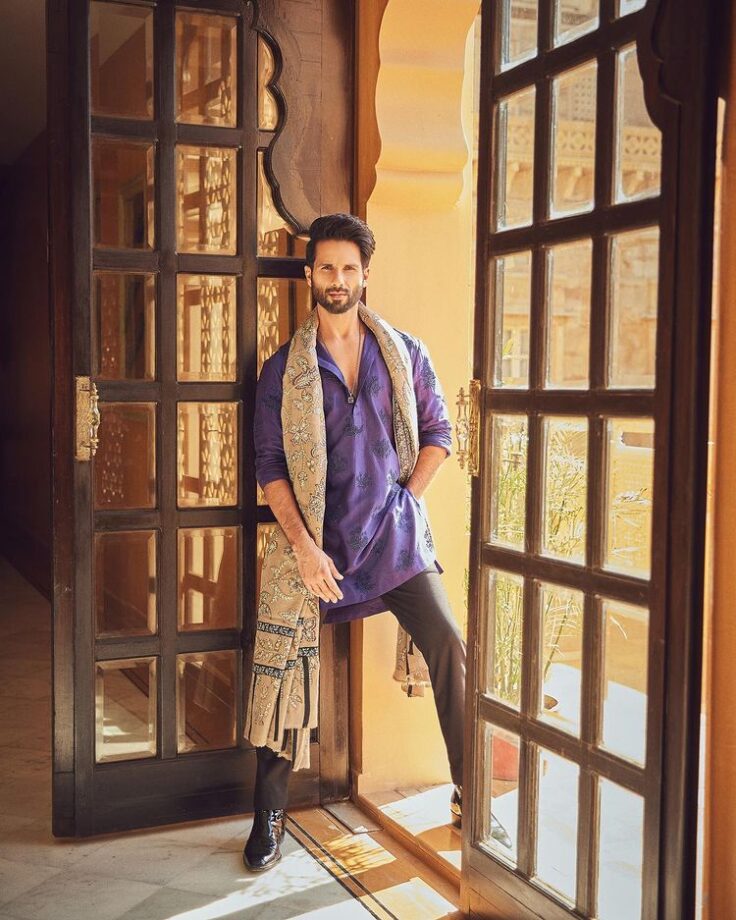 Photodump: Shahid Kapoor's 'brown munde' Desi swag will make you 'fida' 775488