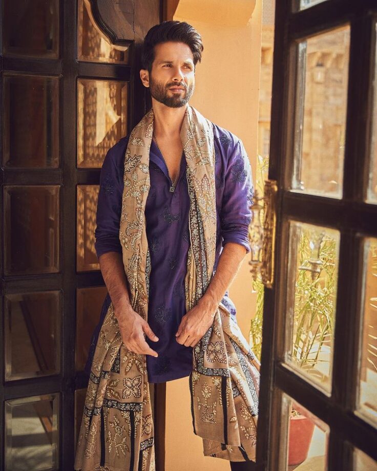 Photodump: Shahid Kapoor's 'brown munde' Desi swag will make you 'fida' 775489