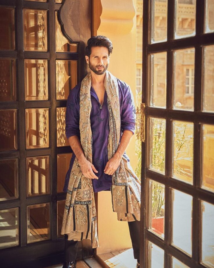 Photodump: Shahid Kapoor's 'brown munde' Desi swag will make you 'fida' 775490