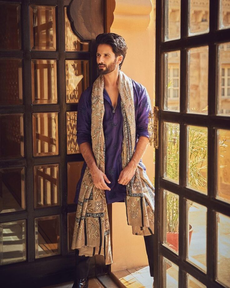 Photodump: Shahid Kapoor's 'brown munde' Desi swag will make you 'fida' 775491