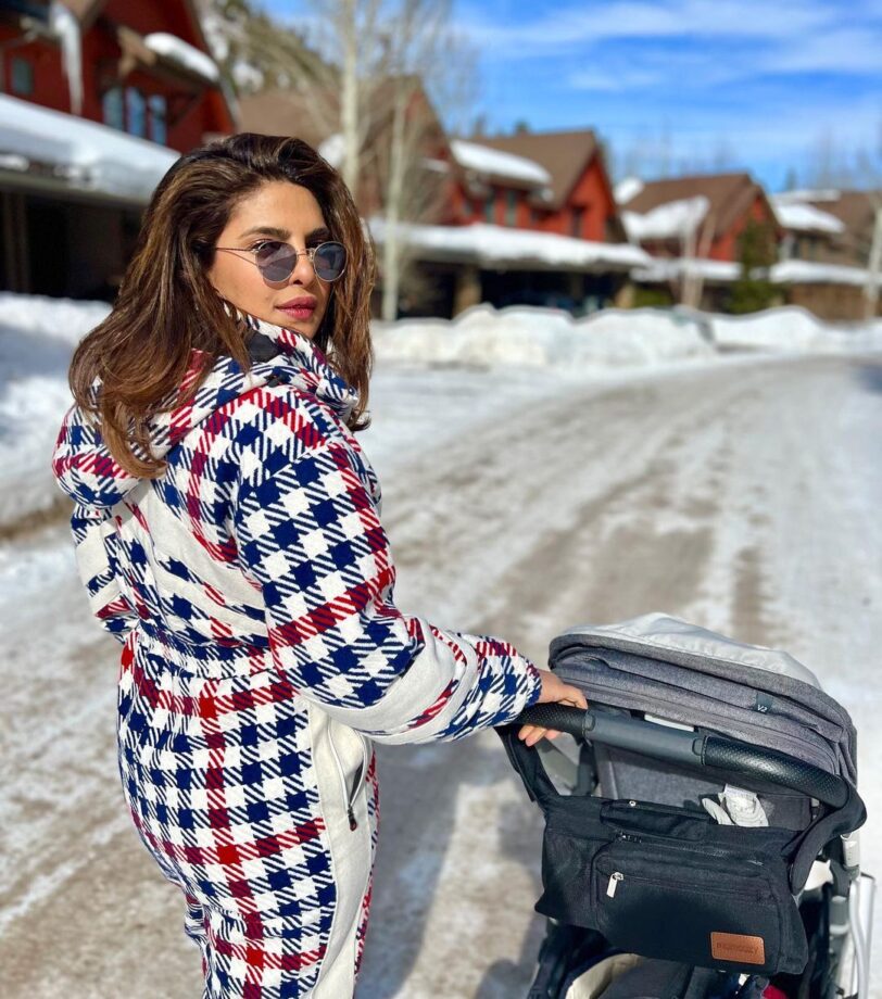 Priyanka Chopra Enjoys 'Perfect' Snow Day With Maltie Marie And Nick Jonas, See Pics 767448