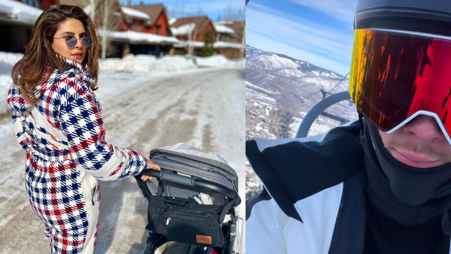 Priyanka Chopra Enjoys 'Perfect' Snow Day With Maltie Marie And Nick Jonas, See Pics 767493