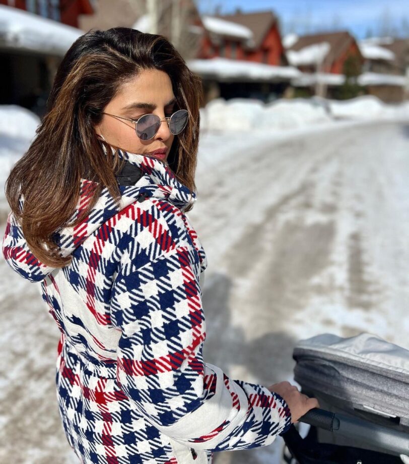 Priyanka Chopra Enjoys 'Perfect' Snow Day With Maltie Marie And Nick Jonas, See Pics 767447