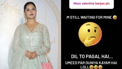 Rashami Desai’s epic reply to fan asking her to become his “Valentine”, will leave you in splits