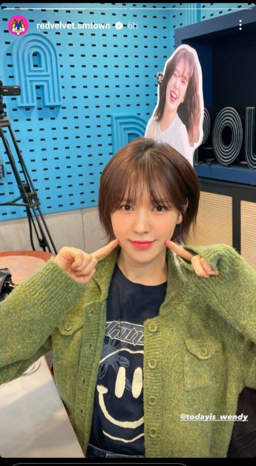 Red Velvet's Wendy Shows Cuteness In A Black Printed T-shirt And Green Sweater Jacket 773281