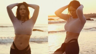 Sonam Bajwa flaunts curvaceous midriff at beach, we are sweating