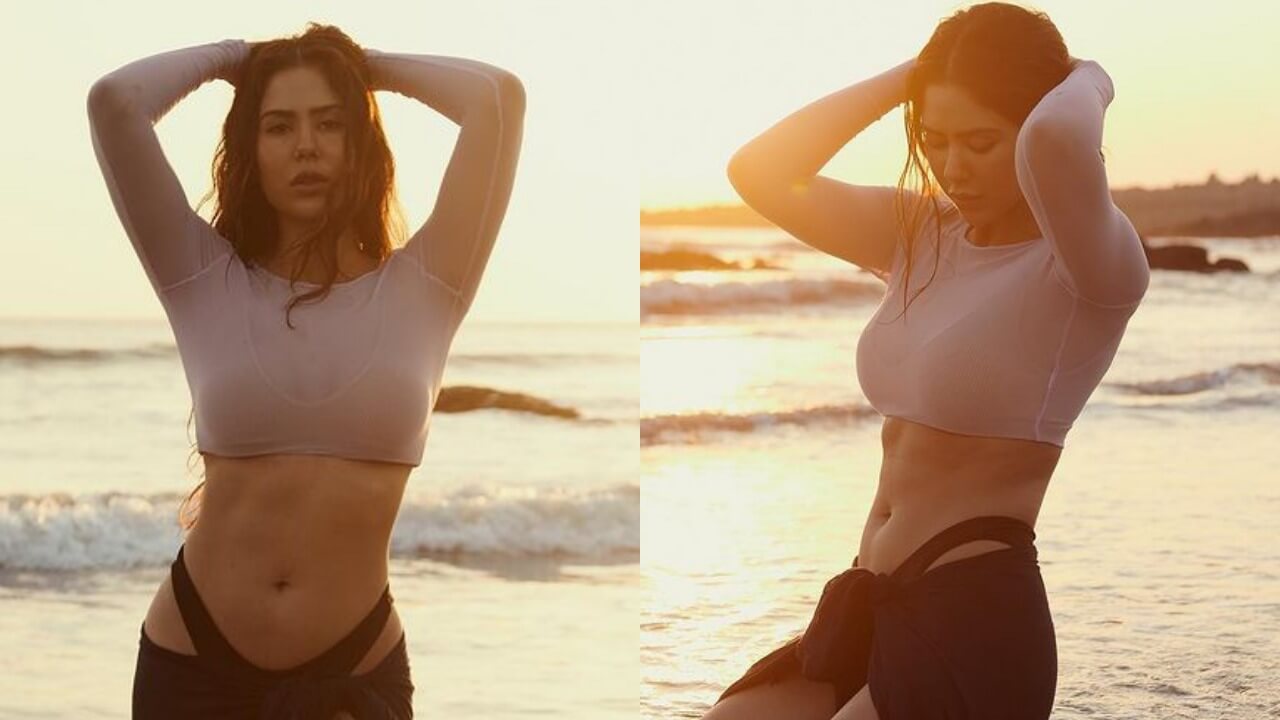 Sonam Bajwa flaunts curvaceous midriff at beach, we are sweating 777487