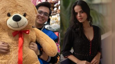 TMKOC diva Palak Sindhwani says “without you…”, Raj Anadkat poses with teddy bear