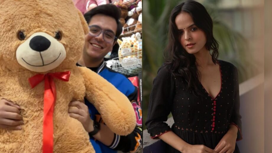 TMKOC diva Palak Sindhwani says "without you...", Raj Anadkat poses with teddy bear 774126