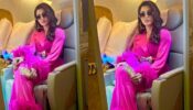 Urvashi Rautela Oozes And Creates Oomph Look In Pink Feather Trimmed Outfit