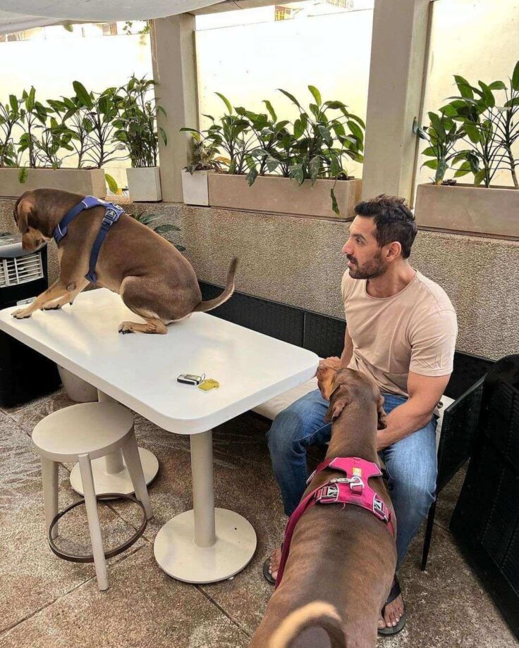 Viral Photos: John Abraham gets playful with pawbuddies 765855