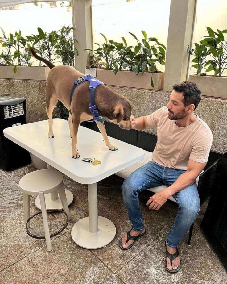 Viral Photos: John Abraham gets playful with pawbuddies 765856