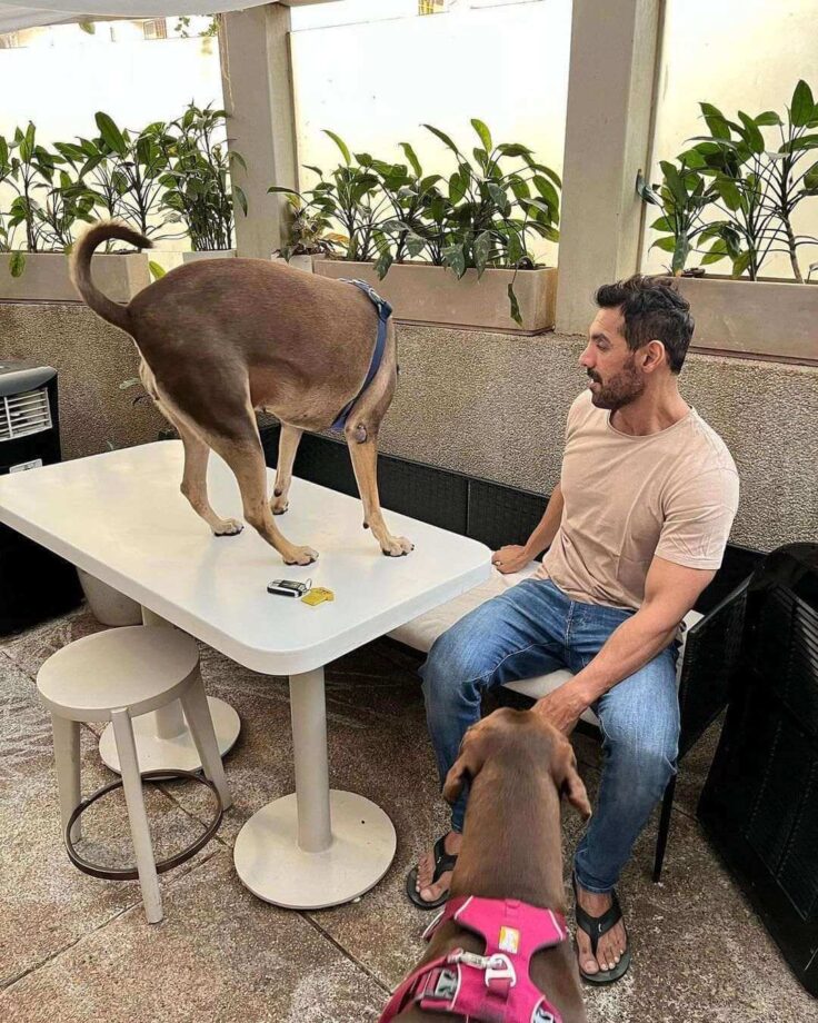 Viral Photos: John Abraham gets playful with pawbuddies 765857