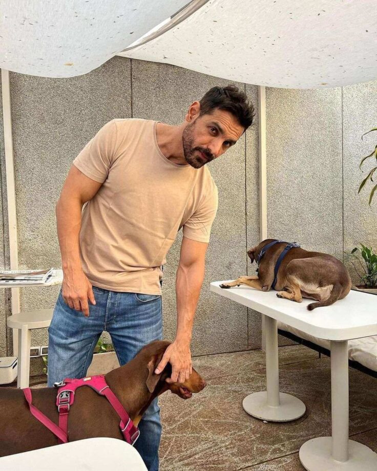 Viral Photos: John Abraham gets playful with pawbuddies 765858