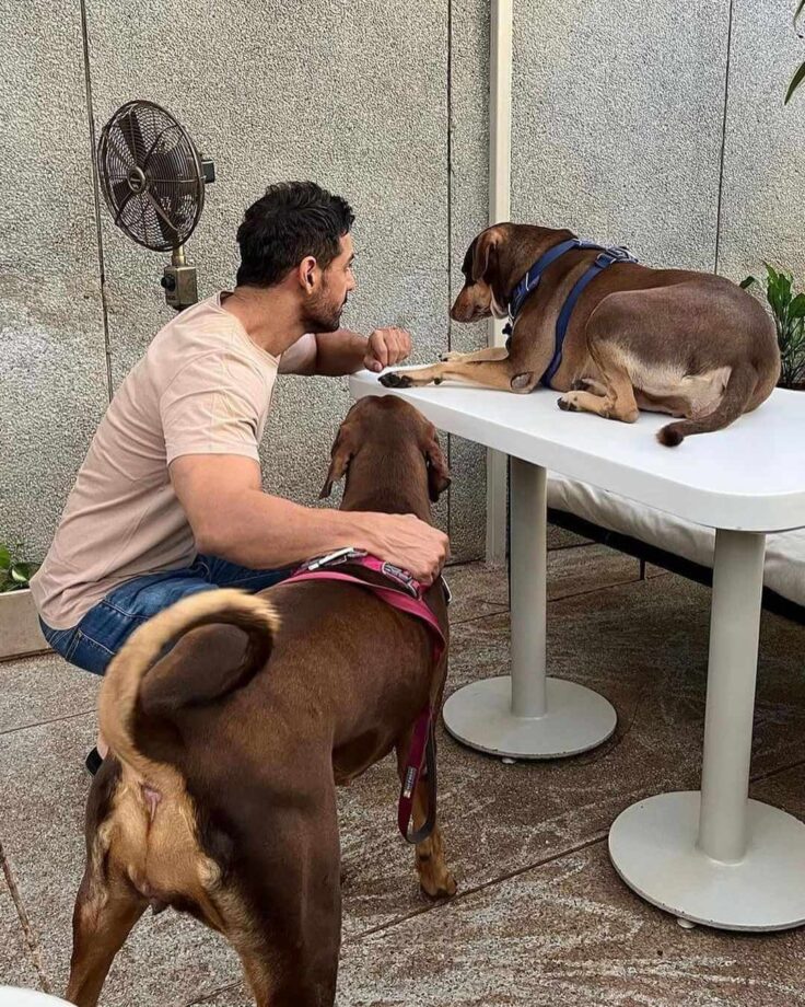 Viral Photos: John Abraham gets playful with pawbuddies 765854