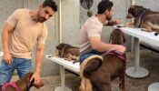 Viral Photos: John Abraham gets playful with pawbuddies