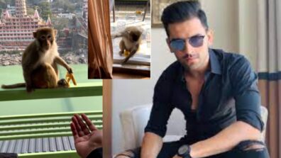 Viral Video: A Monkey-Robbed Cricketer Deepak Chahar Inside His Room; Netizens React