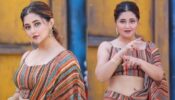 Watch: Rashami Desai’s viral saree dance will make you go crazy