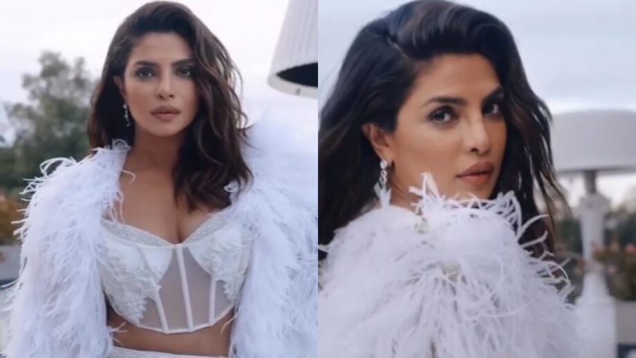 Watch: Priyanka Chopra reminds us of 'Fashion', kills it with her 'jalwa' 784557