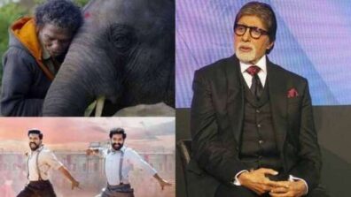 Amitabh Bachchan reacts to Oscar glory of Naatu Naatu and The Elephant Whisperers, check out