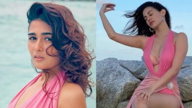 Amyra Dastur VS Shalini Pandey: Who Is Breathtaking In Pink Monokini?