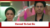 Anupamaa: Anuj and Anupamaa let go of Anu