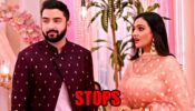 Bhagya Lakshmi: Lakshmi stops Rishi from revealing the truth to Malishka