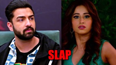 Bhagya Lakshmi: OMG! Rishi slaps Malishka