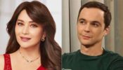 Big News: Netflix gets legal notice for offensive remarks on Madhuri Dixit in Big Bang Theory