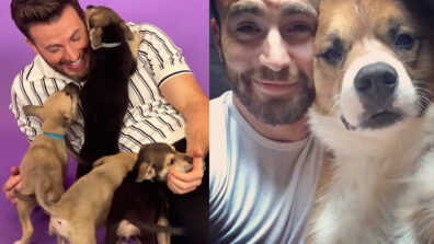 Chris Evans And His Dogs: A Timeline Of Their Awesome Friendship; Check Now!