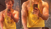 Have You Seen Tiger Shroff’s Video of Showing His Physique At Gym? Watch!
