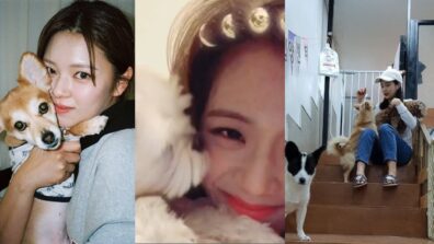 Here’s Proof That The K-pop Girls Are Adoring Dog Moms; See Pics