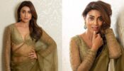 In Pics: Shriya Saran is surreal personified in saree