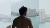 Kartik Aaryan flaunts V-shaped back in shirtless snap, girls love it