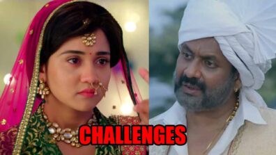 Meet: Meet challenges to stop Sarkar’s marriage with Jalebi