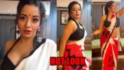 Monalisa oozes oomph in a printed saree, impresses fans with her dance moves in latest reel video