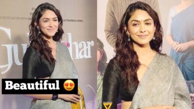 Mrunal Thakur stabs hearts in sensuous saree style, we are crushing